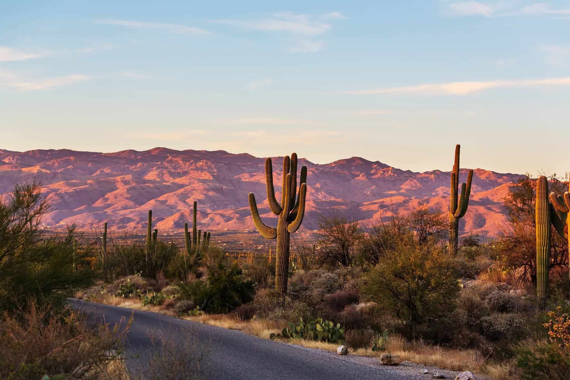 Desert