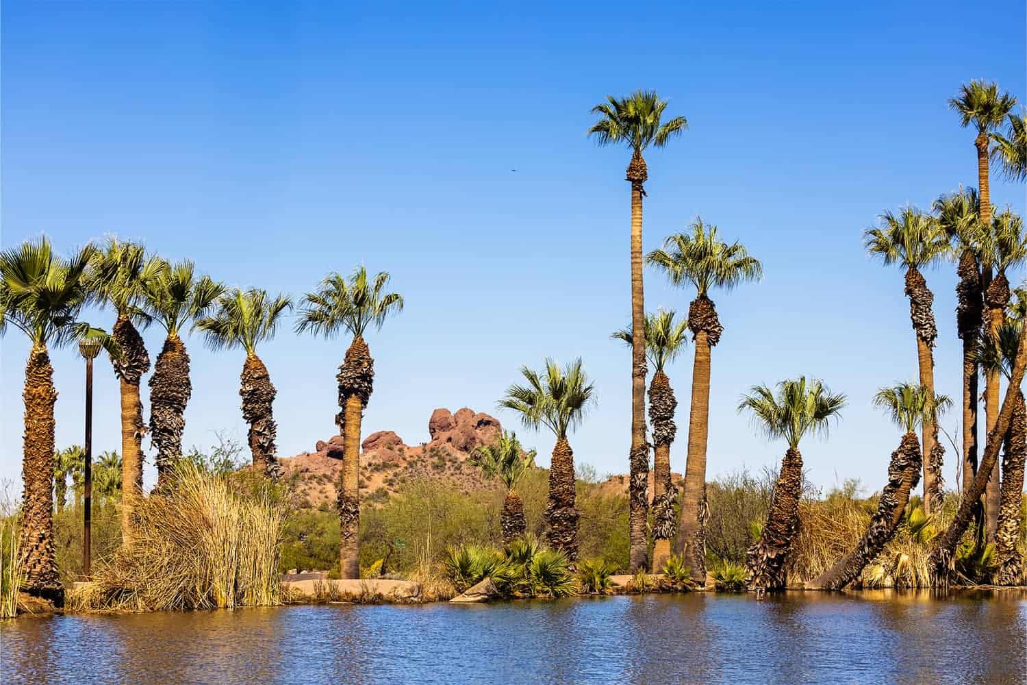 pond in papago park tempe arizona usa 2024 09 22 10 15 23 utc