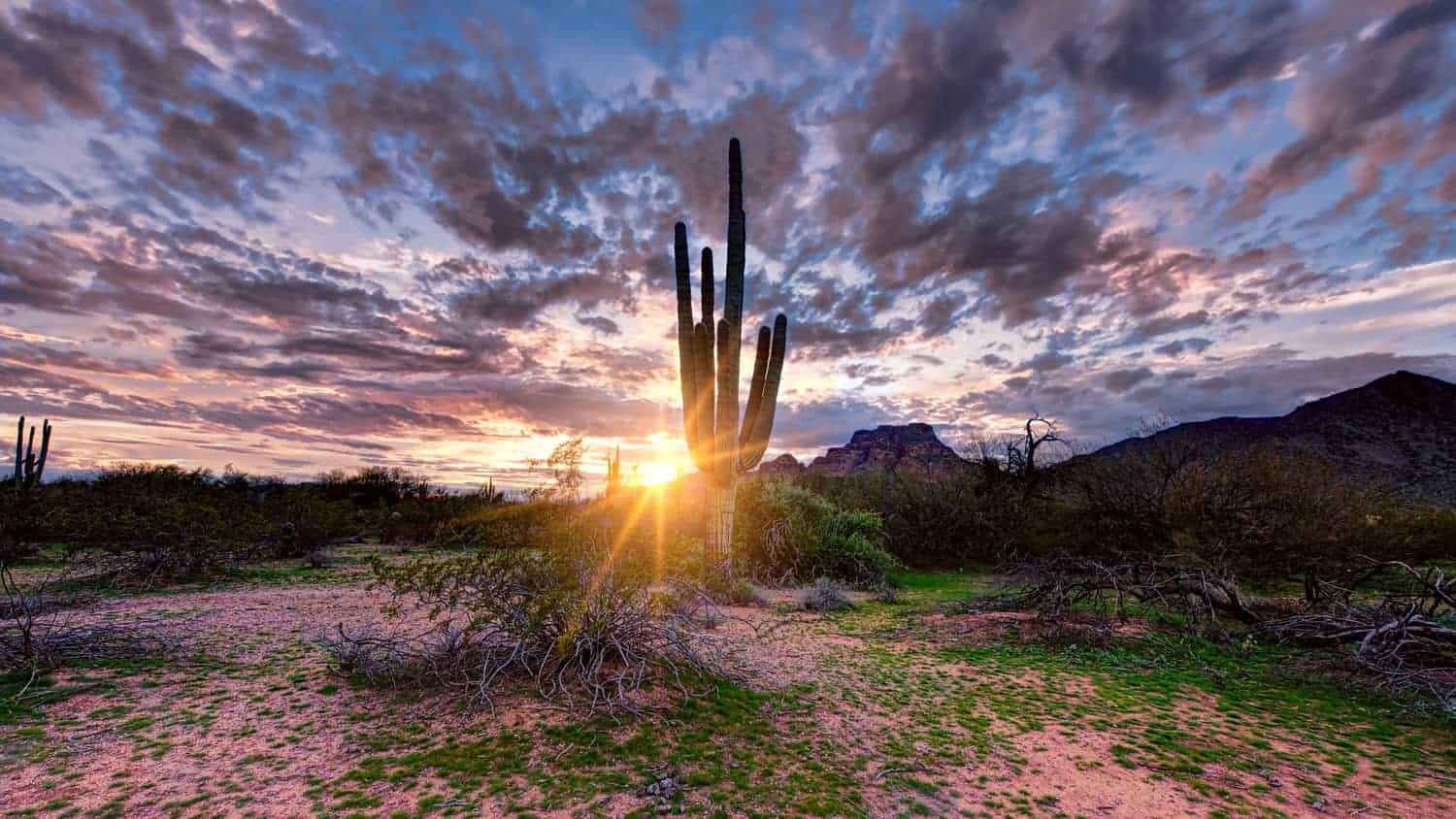 saguaro sunset 2024 12 05 09 45 28 utc